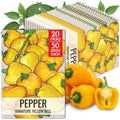Seed Needs Mini Yellow Bell Pepper Seeds to Plant Vegetables - 20 Packs by SeedNeeds