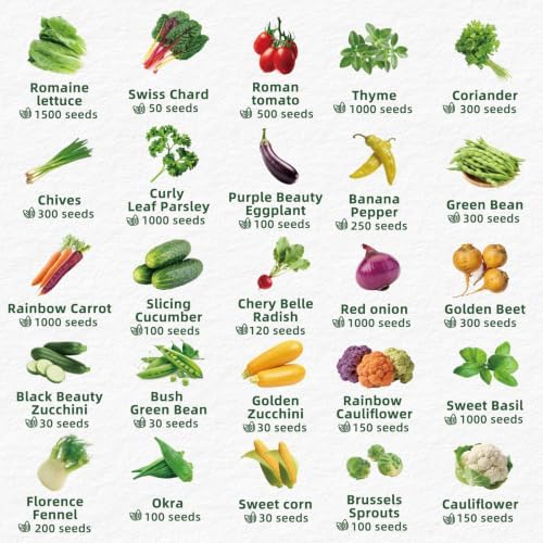 Fall Winter Vegetable Heirloom Seeds | 40 Varieties | 20,000+ High Yield Garden Seeds | Sweet Basil, Cherry Tomato, Romaine Lettuce & More | 2026 Season | for Indoor & Outdoor Home Planting - Image 3
