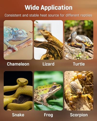 Pawfly Reptile Heat Pad with Thermostat & Timer - Reptile Heating Pad 8 x 5.9 Inch, 7 W Hermit Crabs Heating Pads, Heat Mat for Reptiles Turtles Frogs Snakes Lizards Geckos Plants Seedlings - Image 7