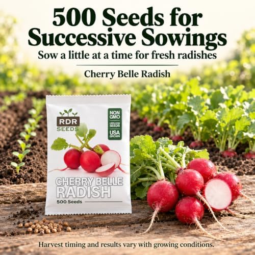 500 Cherry Belle Radish Seeds for Planting | USA Grown, Non-GMO, Heirloom | Fast-Growing, Sweet & Crisp | Harvest in 25 Days | Spring Vegetable for Gardeners of All Levels - Image 2
