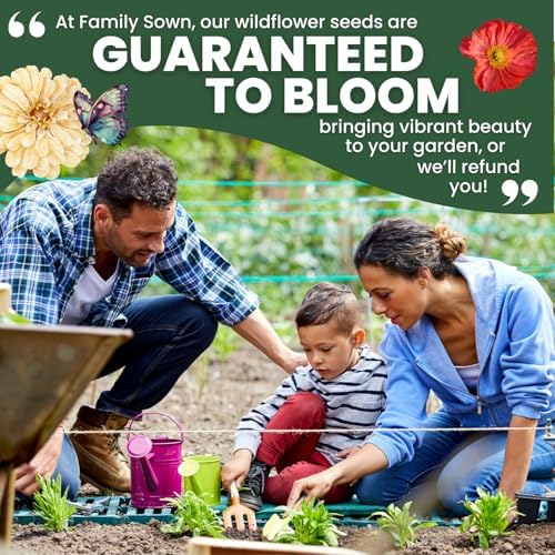 Northeast Natives Mix – 16,000 Seeds for Planting – 2026 Season – 1 Ounce Pouch - Image 7