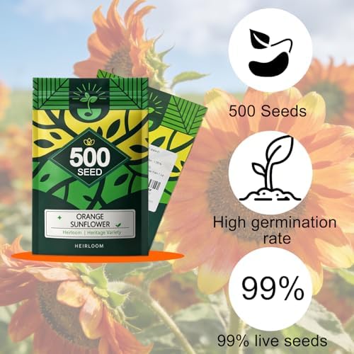 Sunflower Seeds to Plant, Easy to Grow Cut Flower, Heirloom Annual Flowers - Image 2