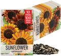 Seed Needs Earthwalker Sunflower Seeds to Plant Cut Flowers - 10 Packs by SeedNeeds