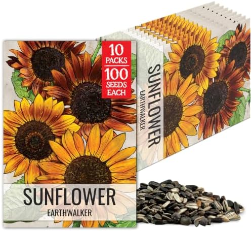 Seed Needs Earthwalker Sunflower Seeds to Plant Cut Flowers - 10 Packs by SeedNeeds