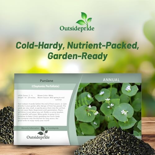 Outsidepride Winter Purslane Seeds for Planting - 5,000 Pcs Annual, Easy to Grow, Vitamin-Rich & Drought Tolerant Succulent Seeds for Culinary, Xeriscaping, Containers & Hanging Baskets (Pack of 2) - Image 5