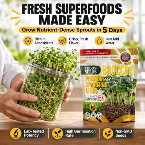 Broccoli Sprouting Seeds, 2 lb Bulk - Non-GMO - Image 3