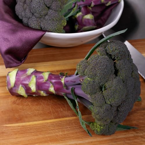 Purple Magic F1 Broccoli Seeds for Planting: 70 Count - Image 4