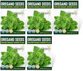 Organic Common Italian Oregano Seeds - USDA Organic, Non-GMO, Open Pollinated, Heirloom (5 Packets - 2.5 Grams - Approx 2250 Seeds) by Purely+Organic+Products+LLC