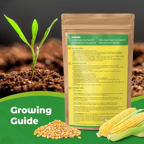 4 Corn Seeds Variety Pack - 200+ Heirloom Corn Seeds for Planting Outdoor, Includes Sweet Corn, Golden Bantam,Silver Queen & Glass Gem Corn, Perfect Home Garden Gift for Beginners, Mom, Her - Image 4