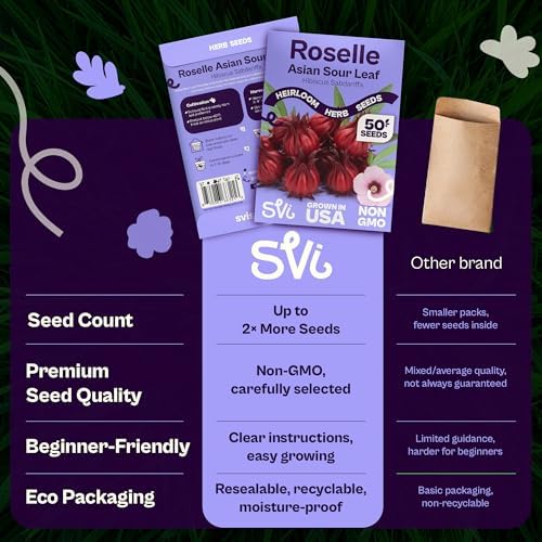 SVI 50 Asian Sour Leaf Roselle Seeds (Hibiscus sabdariffa) – Edible Roselle Hibiscus Flowers Seed Packets, Red Sorrel Garden Seed – Perennial Heirloom Vegetable Seeds Outdoor Garden, Containers - Image 6