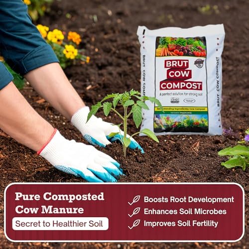 Brut Cow Compost – Nutrient-Rich Composted Cow Manure Organic Soil Amendment – 100% Pure Compost, Additive-Free Fertilizer for Vegetable Gardens, Flowers, Lawns & Indoor Plants – 10 Quart - Image 2