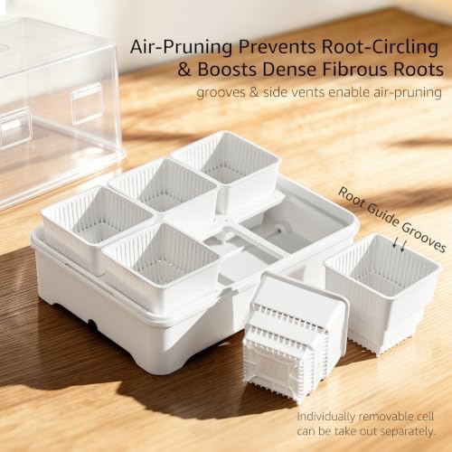 Seed Starter Tray Kit with Adjustable-Vent Humidity Dome & Air‑Pruning Cells, Reusable Plant Germination Trays with Superior Air & Drainage, Removable Cells for Flexible Transplanting, 6‑Cell - Image 3