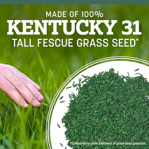Pennington Kentucky 31 Fescue 20 lb Tall Fescue Grass Seed, Grass Seeds for Lawn - Image 6