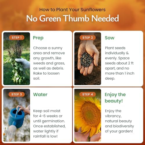 Sunflower Seed Mix for Planting, 9 Varieties, 1,000 Seeds, Covers 100 Sq Ft - Image 4