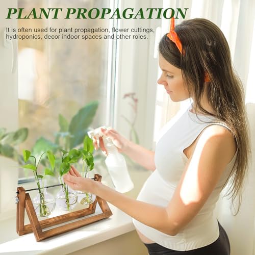 Plant Propagation Station, Plant Terrarium with Wooden Stand - Image 4