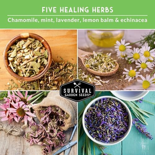 Herbal Tea Garden Seeds Kit - 5 Medicinal Herbs for Planting - Image 3