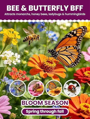 Bee & Butterfly BFF Wildflower Seed Mix – 25 Heirloom Varieties, 112,500+ Seeds (450g) Covers 1125-1350 sq. ft. – High Germination for Outdoor Pollinator Garden - Image 3