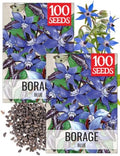 Seed Needs Blue Borage Seeds to Plant an Herb Garden - 2 Packs by SeedNeeds