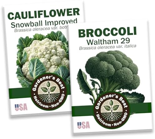 Broccoli & Cauliflower Seed Combo Pack – Heirloom, Non-GMO, Cool-Season Favorites for Spring & Fall – Includes Waltham 29 Broccoli and Snowball Improved Cauliflower – High Germination by Unknown