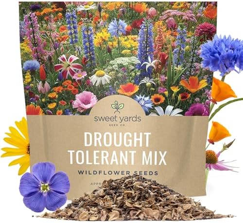 Drought Tolerant Wildflowers Mix – Extra Large Packet – Over 7,500 Open Pollinated Non-GMO Seeds – 21 Different Dryland Species by SweetYards