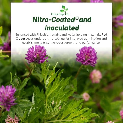 Outsidepride Perennial Red Clover Seeds - 1/4 lbs. Self-Seeding, Nitrocoated, Inoculated Clover Seeds for Lawn, Yard, Forage, Pasture, Hay, Nitrogen Fixation, Soil Improvement & Crop Rotation Programs - Image 6