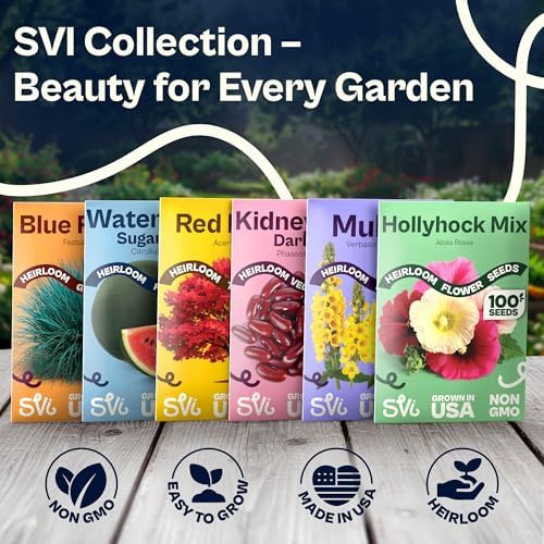 SVI 500 Pineapple Ground Cherry Seeds (Physalis pruinosa) – Tomatillo Seed Packets, Golden Berries, Ground Cherries Seed Pack – Annual Heirloom Fruit and Vegetable Seeds For Outdoor Garden, Raised Bed - Image 7