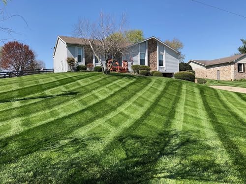 Lesco Tall Fescue Select Blend Grass Seed - 50lbs. - Blue Tag Certified - Weed Free - Image 2