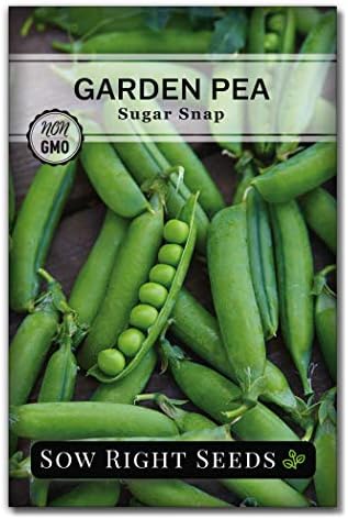 Sow Right Seeds - Sugar Snap Pea Seed for Planting Outdoors Vegetable by SowRightSeeds