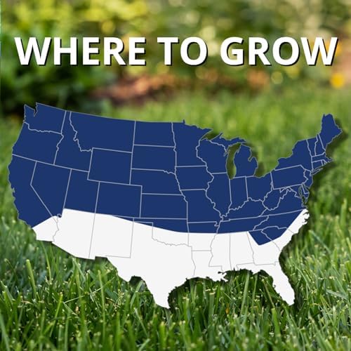 Jonathan Green Black Beauty Ultra Grass Seed - 25 lb - Image 4