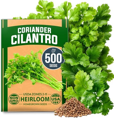 HOME GROWN Cilantro Coriander Seeds, 500+ Seeds by HOMEGROWN