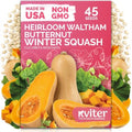 45 Waltham Butternut Winter Squash Vegetable Seeds, Cucurbita Moschata by KVITER