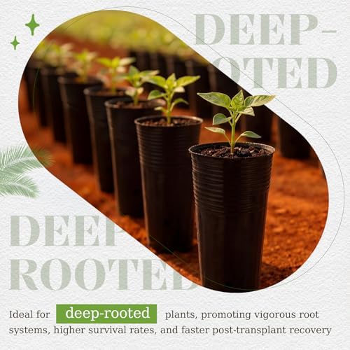 100 Pack Tall Tree Pot 9.8'' x 4.7'', Black Plastic Deep Nursery Pots, Soft Deep Seedling Pots for Seed Starting, Plant Starter Cups with Drainage Holes for Flowers, Cuttings Transplanting - Image 6