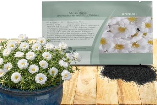 Outsidepride White Moss Rose Seeds - 250 Pcs Annual, Drought & Heat Tolerant, Pollinator Friendly Ground Cover Seeds for Planting w/Vibrant Blooms & Succulent Foliage, Ideal for Xeriscaping by Outsidepride