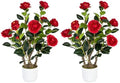 2 Pack Artificial Camellia Tree with White Pot, 24" Faux Potted Plants for Indoor Outdoor Decor, Tall Silk Greenery Plant for Home Office Living Room Balcony, Red by Jcezvnt