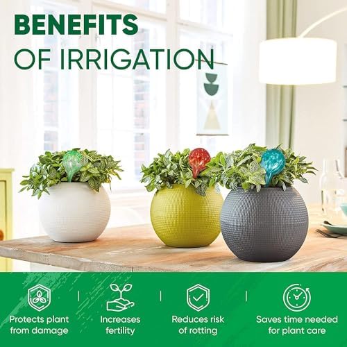 Plant Watering Globes Set of 6, Small - Glass Self Watering Globes - Image 4
