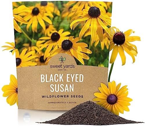 Black Eyed Susan Seeds – Extra Large Packet – Over 100,000 Open Pollinated Non-GMO Wildflower Seeds – Rudbeckia hirta by SweetYards