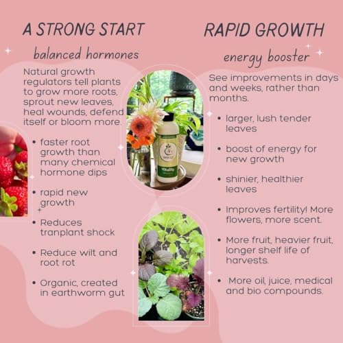 VermisTerra Vitality 16 oz - 4 Pack (64 oz) Plant Food, Promotes Health and Amazing Growth for Vegetables, Fruit, Houseplants - Non-Toxic, Living Enzymes, Gentle - Will Not Burn - Image 2