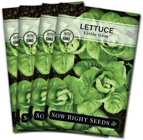 Sow Right Seeds - Little Gem Lettuce Seed for Planting Vegetable Garden 4pk by SowRightSeeds