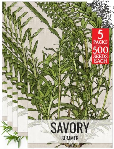 Seed Needs Summer Savory Seeds to Plant an Herb Garden - 5 Packs by SeedNeeds