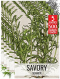 Seed Needs Summer Savory Seeds to Plant an Herb Garden - 5 Packs by SeedNeeds