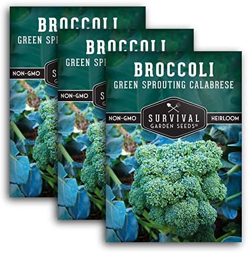 Green Sprouting Calabrese Broccoli Seeds for Planting (3 Packs) by SurvivalGardenSeeds
