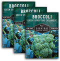 Green Sprouting Calabrese Broccoli Seeds for Planting (3 Packs) by SurvivalGardenSeeds
