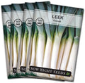 Sow Right Seeds - Giant Leek Seed for Planting Outdoor Vegetable Garden 4pk by SowRightSeeds