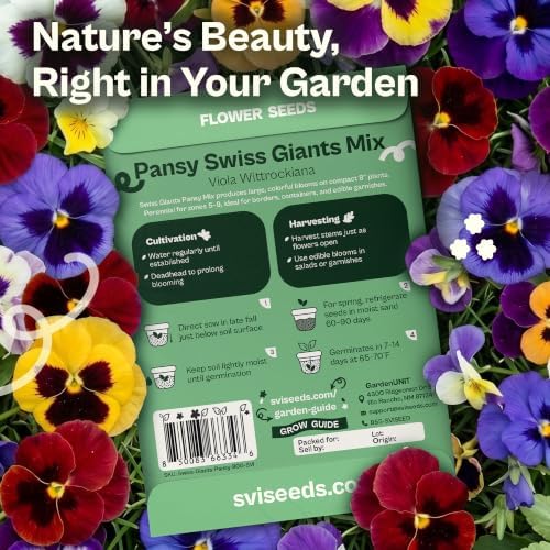 SVI 800 Mix Swiss Giants Pansy Seeds (Viola wittrockiana) – Edible Pansies Flower Seed Packets, Heirloom Garden Seed Mix, Perennial Flower Seeds Packets for Borders, Containers, Outdoor Garden - Image 2