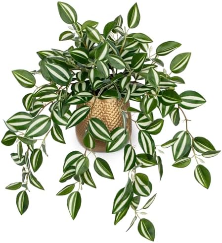 Briful Faux Plants Indoor 17.7in Fake Watermelon Peperomia Plant in Gold Pot with Realistic Silk Green Leaves Artificial Potted Plant for Home Office Table Bookshelf Desk Room Decor by Briful