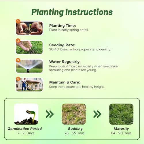 Outsidepride All-Purpose Pasture Seed Mix - 25 lb. Perennial, Drought-Tolerant & Fast-Growing, Pasture Seeds for Planting Abundant Forage Grass & Clover, Great for Grazing Livestock & Hay Production - Image 5