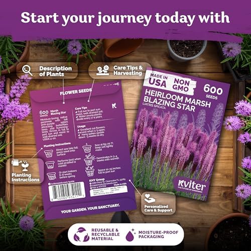 1,200 Marsh Blazing Star Heirloom Flower Seeds, Liatris Spicata - Image 2