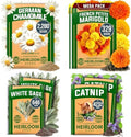 HOME GROWN Herb & Flower Seed Collection – Chamomile, Marigold, Catnip & White Sage – 7,487+ USA Heirloom Non-GMO Seeds for Planting Indoors or Outdoors by HOMEGROWN