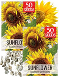 Seed Needs Mammoth Grey Sunflower Seeds to Plant Cut Flowers - 2 Packs by SeedNeeds