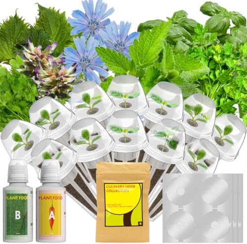LYKOCLEAN Herb Seed Pods Kit for AeroGarden, Ahopegarden - Includes Basil, Parsley, Mint, Cilantro, Shiso, Liquorice, Chicory, 12 pods, 400+ Seeds by LYKO